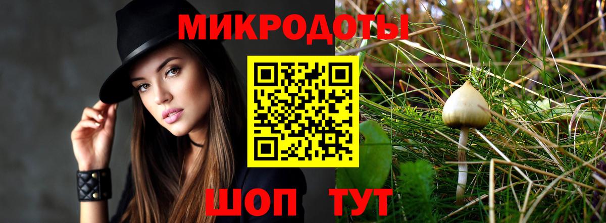 Будённовск  Галлюциногенные грибы мицелий  купить  цена  Вход с VPN 